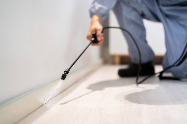 Licensed Rodent Control service in Bass Lake, IN - Nex Pest Control