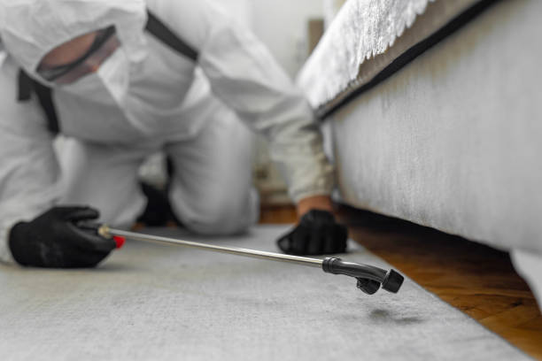 Professional Rodent Control technician working in Bass Lake, IN