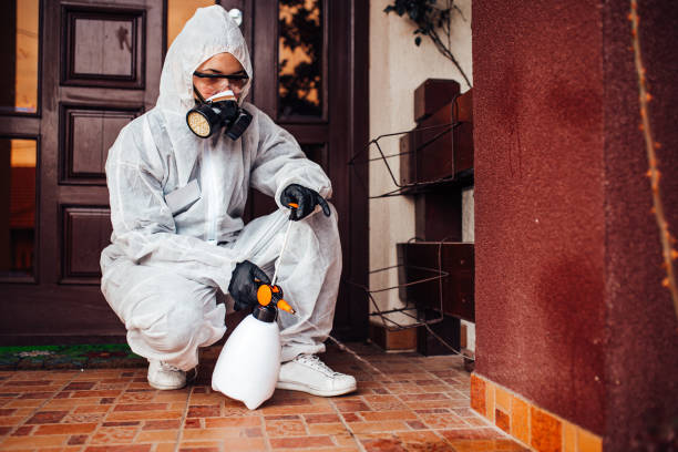 Reliable Rodent Control contractor in Bass Lake, IN by Nex Pest Control