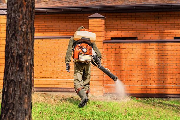 Trusted Ant Control service in Bass Lake, IN - Nex Pest Control